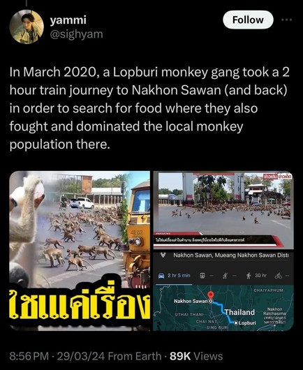 Foto aus dem Toot: https://nicecrew.digital/objects/7a3a7a86-29e3-44db-bf65-69373049fbab Eine Gruppe Affen in Thailand ist auf der Suche nach Futter zwei Stunden auf einem Zug mitgefahren, hat am Zielort die dortige Affenpopulation bedrängt und ist dann mit dem Zug zurückgefahren.